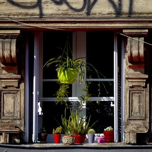 Fenêtre entourée d'un imosant encadrement en bois et plantes en pots. - France  - collection de photos clin d'oeil, catégorie rues